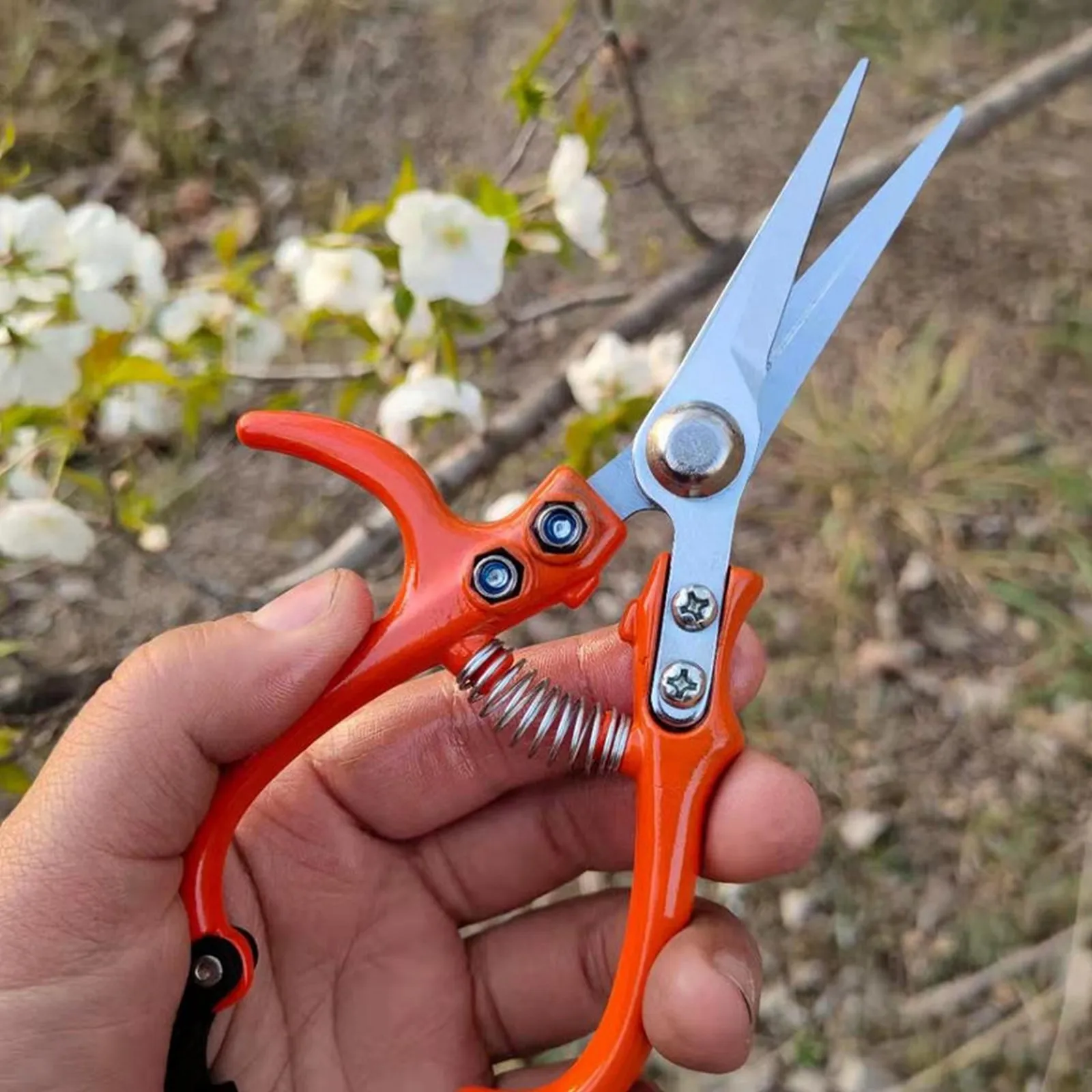 

1Pcs Fruit Picking Shears Secateurs Stainless Steel Pruning Shears Garden Vegetable Garden Pruning Tool Household Bonsai Shears