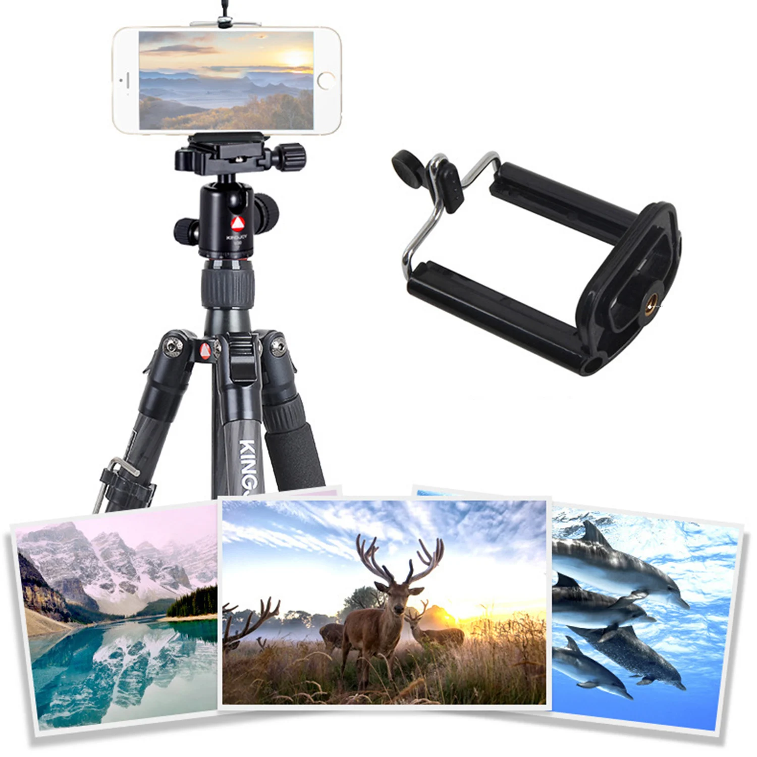 Штатив из углеродного волокна с панорамной шаровой головкой для камеры Nikon Canon Sony