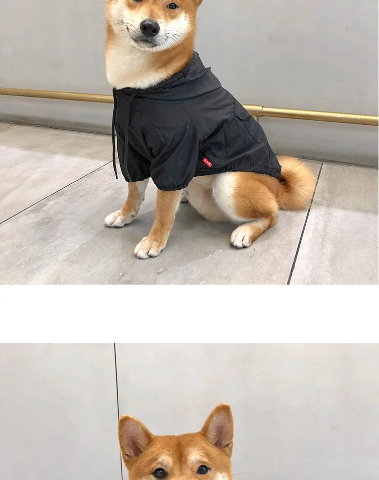 Мода perro ropa mascota lluvia abrigo al aire libre sólido con capucha impermeable mascota perro cachorro chaqueta