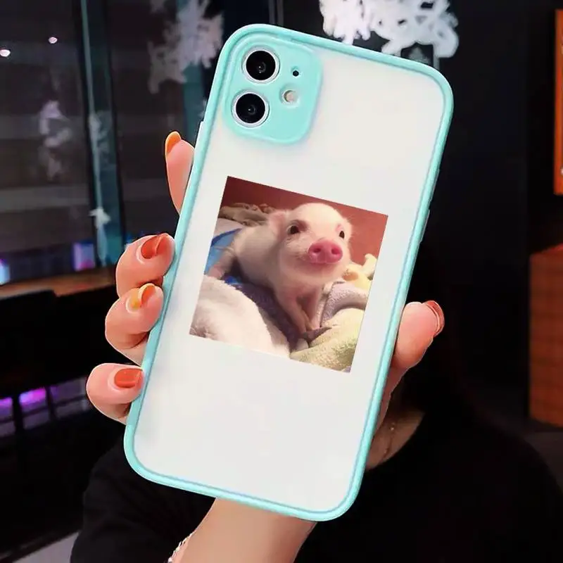 

Cute Little Pink Pet Pig Phone Case For iPhone 12 11 Mini Pro XR XS Max 7 8 Plus X Matte transparent blue Back Cover