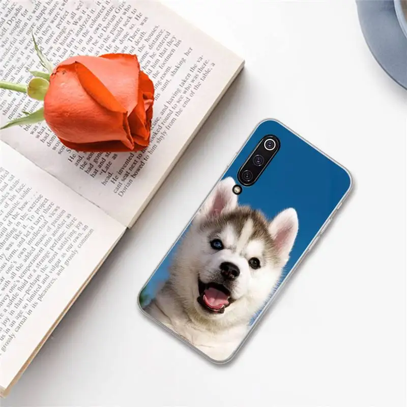 

husky cute dog animal Phone Case For Xiaomi Redmi note 7 8 9 A t k30 max3 9 s 10 pro lite