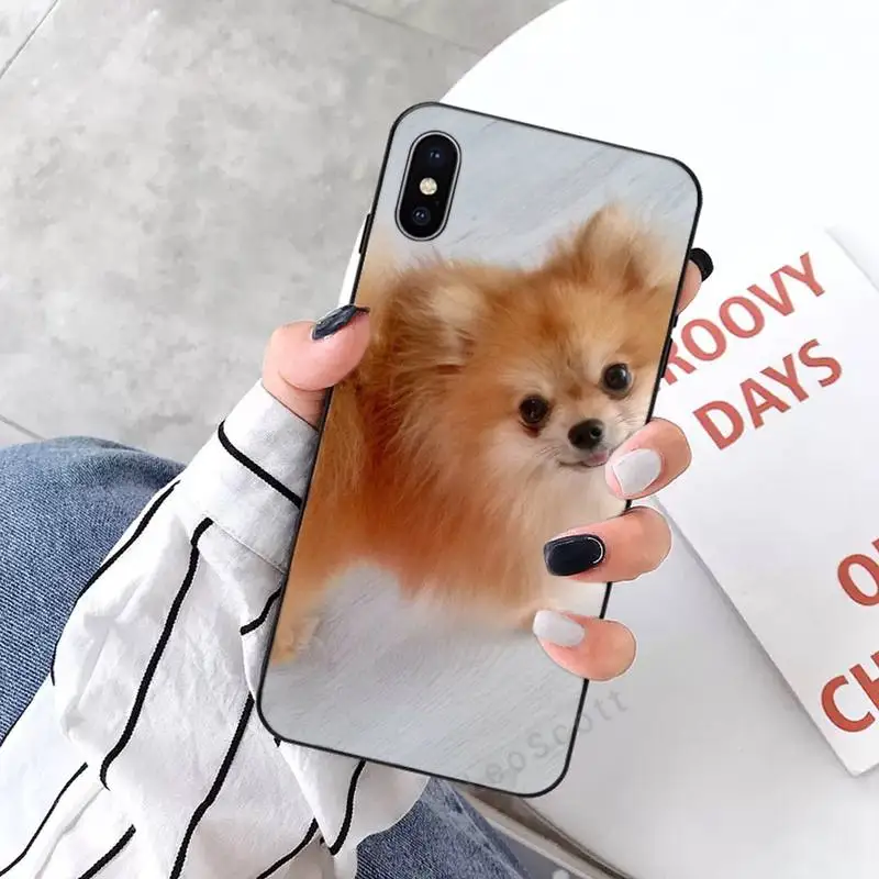 

Pomeranian Phone Case for iPhone 11 12 mini pro XS MAX 8 7 6 6S Plus X 5S SE 2020 XR