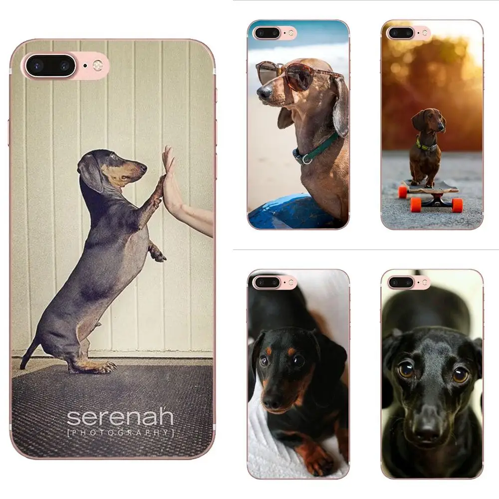 Cute Animal Dachshund Dog щенок для Samsung Galaxy A10 A20 A20E A3 A40 A5 A50 A7 J1 J3 J4 J5 J6 J7 2016 2017 2018 | Мобильные