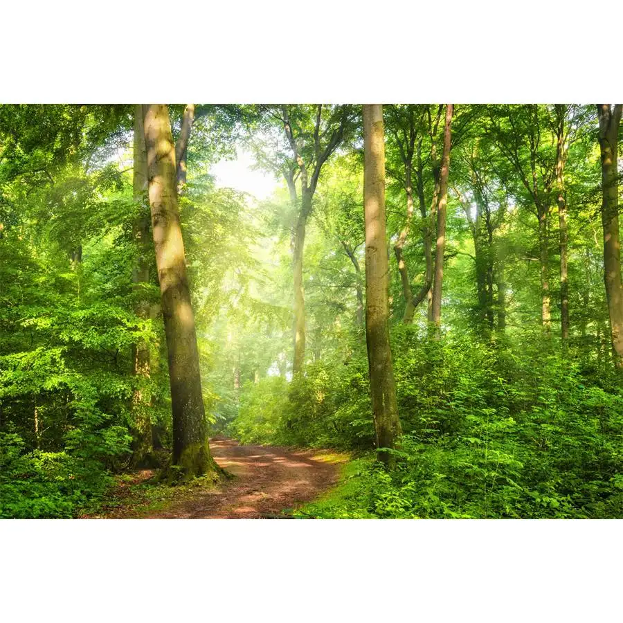 

Spring Forest Green Trees Pathway Scenery Photography Backgrounds Vinyl Portrait Photographic Backdrops For Home Photo Studio