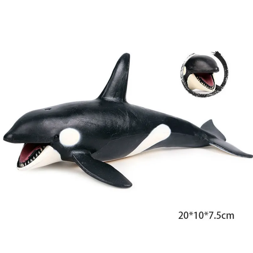 killer whale Морская модель животного; изображение морской жизни, фигурка акулы, развивающие животные океана, игрушка для детей, Декор, подарок - Цвет: killer whale