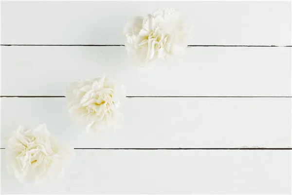 

SHENGYONGBAO Art Fabric Custom Photography Backdrops Props Flower and Wood Planks theme Photo Studio Background 20212-31