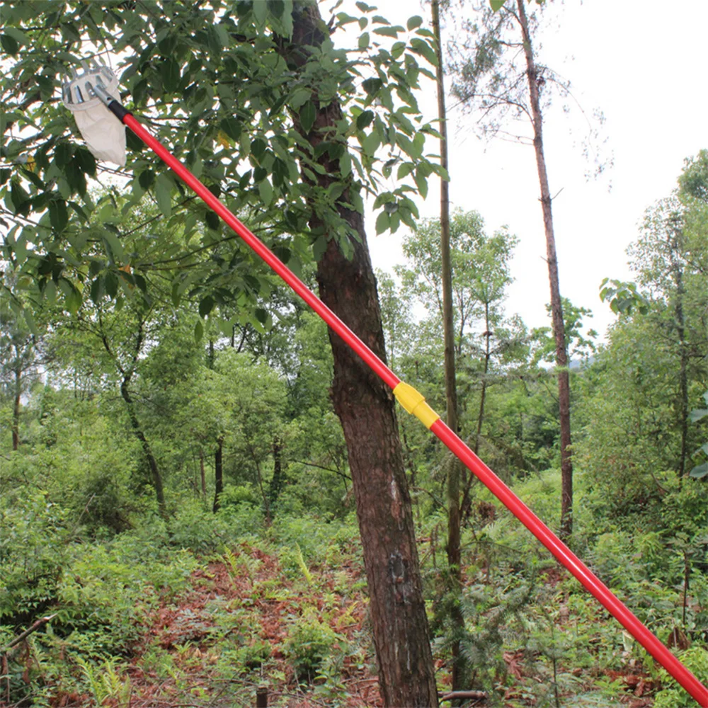 

Устройство для сбора фруктов, металлический инструмент для сбора фруктов в теплице, садовый инструмент, Прямая поставка, 1 шт.