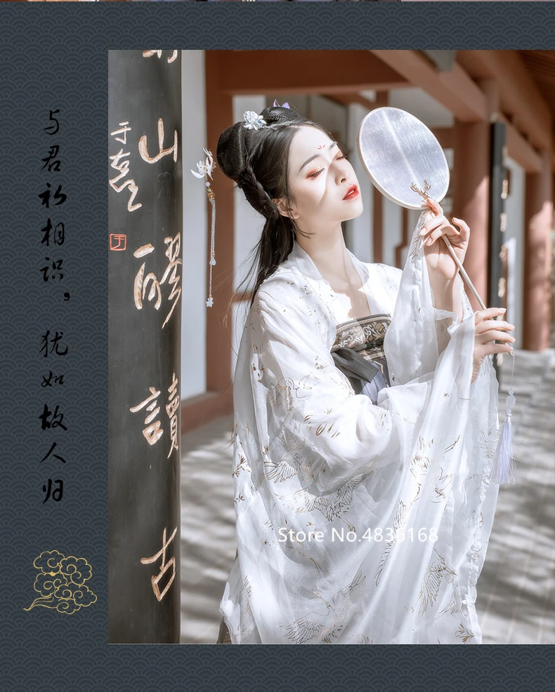 Hanfu Традиционный китайский национальный костюм феи Тан костюм народное Платье женское народное платье с вышивкой древняя Новогодняя одежда танцевальный Халат