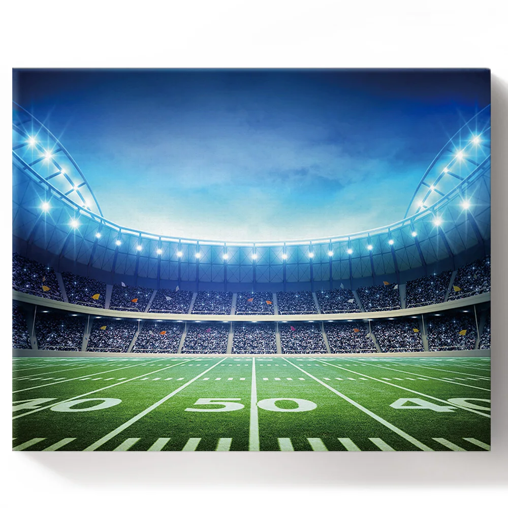 DIY живопись по номерам фотографии стадион регби Бейсбол летний фон Холст Картина