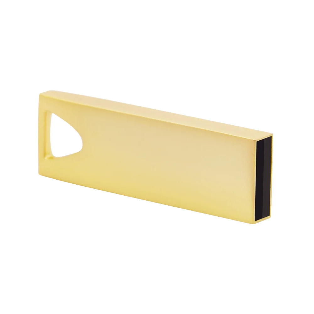 

Флеш-накопитель USB 100, 2,0 шт./лот, 8 Гб