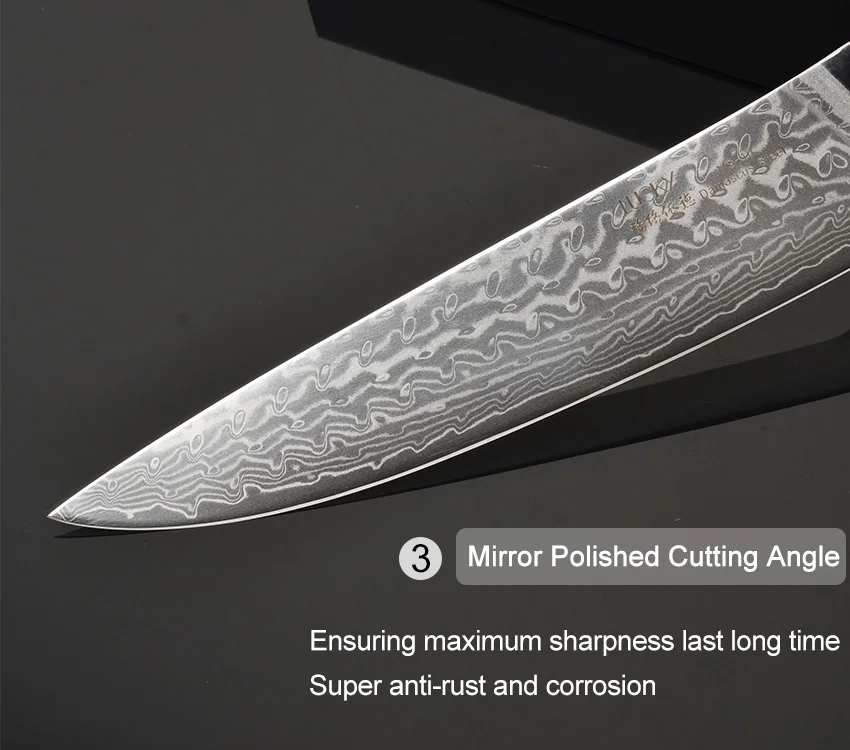 Нож шеф-повара Gyuto кухонный японский дамасский VG10 стальной нож с деревянной ручкой 8 дюймов разделочный нож филе рыбы нож для нарезки кулинарный нож 19