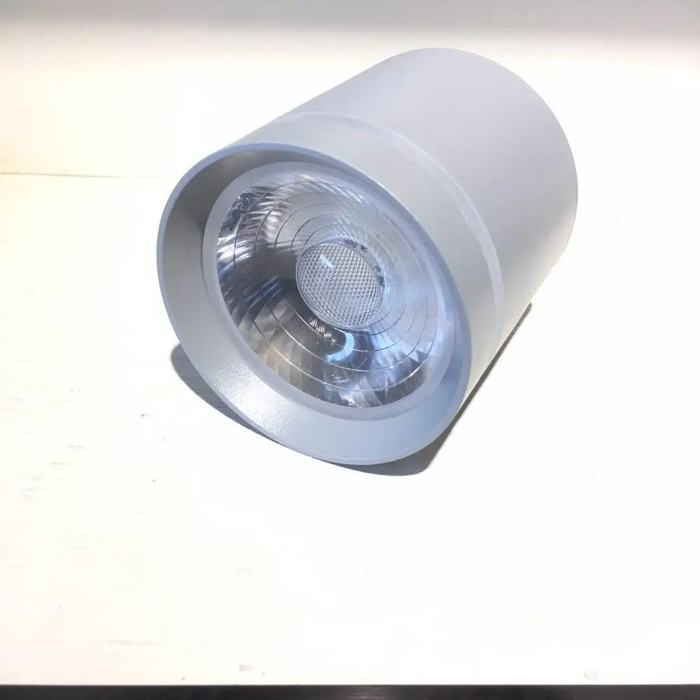 Поверхностный монтаж потолочные светильники Серый потолочный светильник