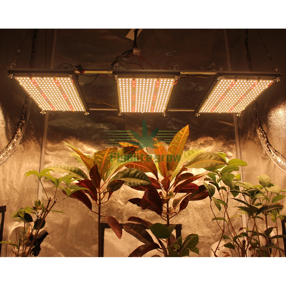 2021 новейший Samsung LM301H 320 Вт приглушаемая Квантовая V4 световая панель Led Grow Llight UV/IR