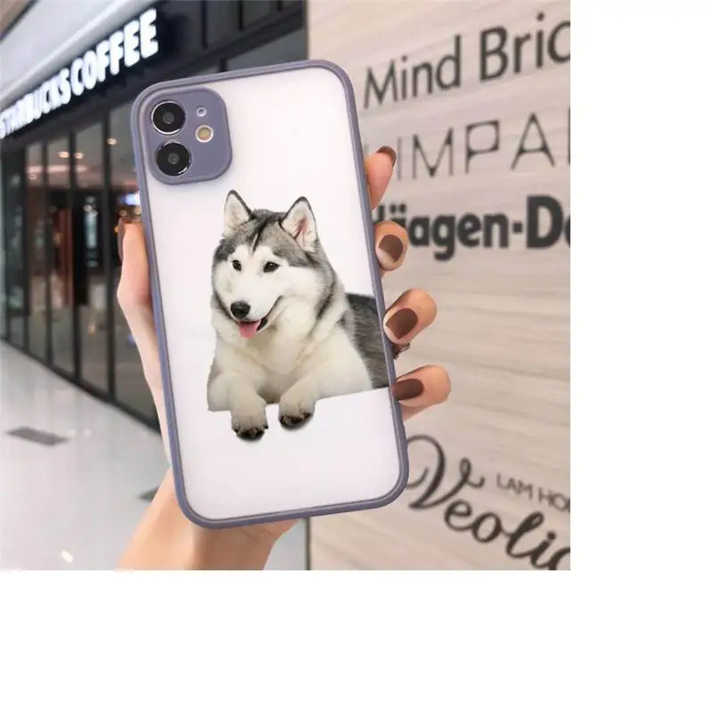 

Husky Kawaii Wolf cute Phone Cases matte transparent For iphone 7 8 11 12 plus mini x xs xr pro max cover
