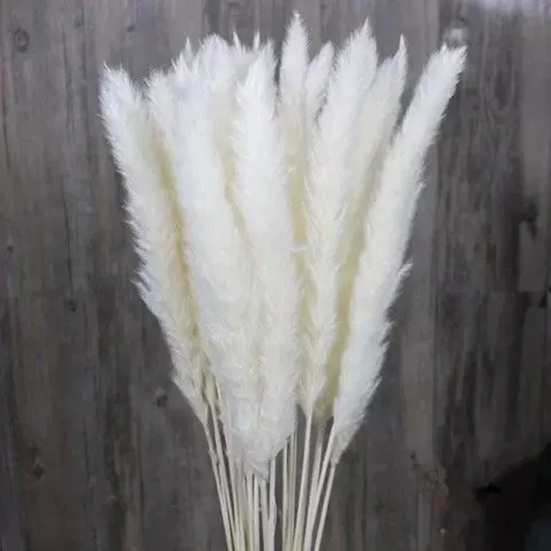 

Dried Flower16pcs/30--50cm Natural Little Reed , Floral Arrangement Art Home Wedding Party Decoration ,DIY Immortal Bouquet