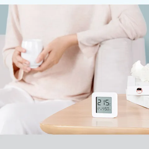 Xiaomi Mijia Bluetooth-термометр 2
