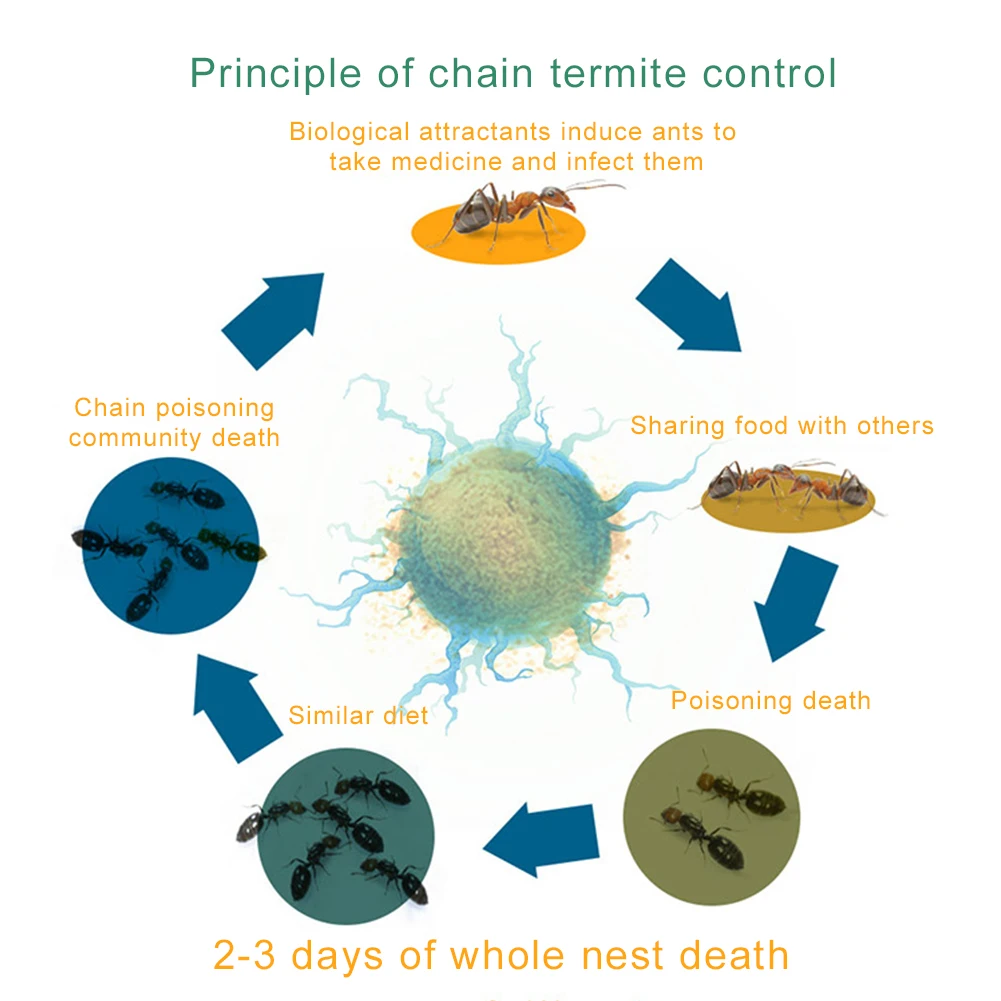 50 пакетов уничтожить гнездо домашних вредителей Управление Термит сад торговый