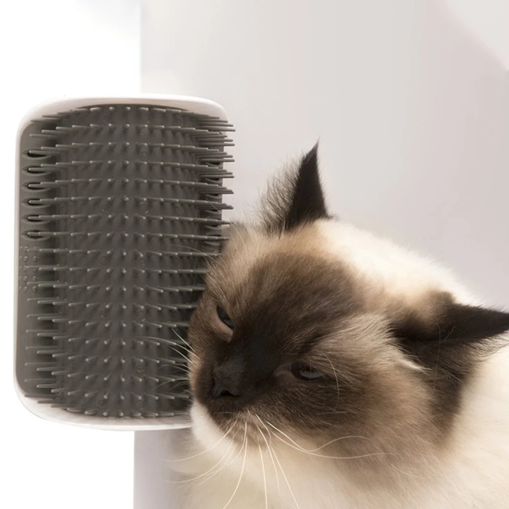 

Pet Products