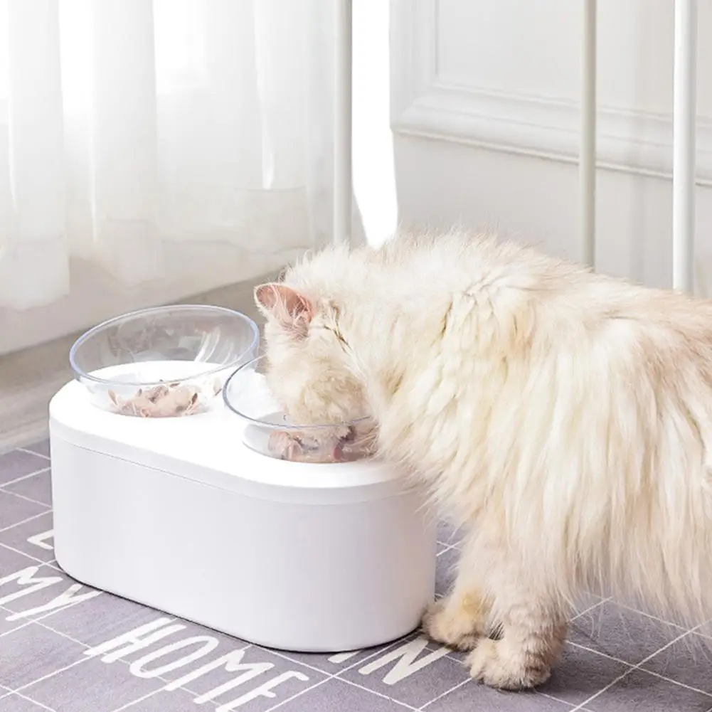 HobbyLane питомец кошки котенок съемный косой двойной кормушка с нескользящим