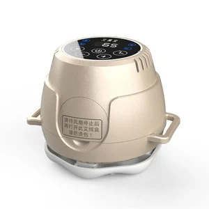 Отрицательные ионы для бездымного прижигания, коробка Gongmian, гинекология, осушение, увлажнение, домашний ультразвуковой инструмент, живот, живот