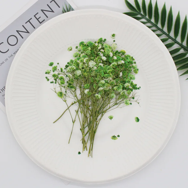 Натуральные сушеные цветы тиснение Botany образец Diy клей ручной оболочки Ароматерапия Свеча фоторамка активность материал наука - Цвет: Great green