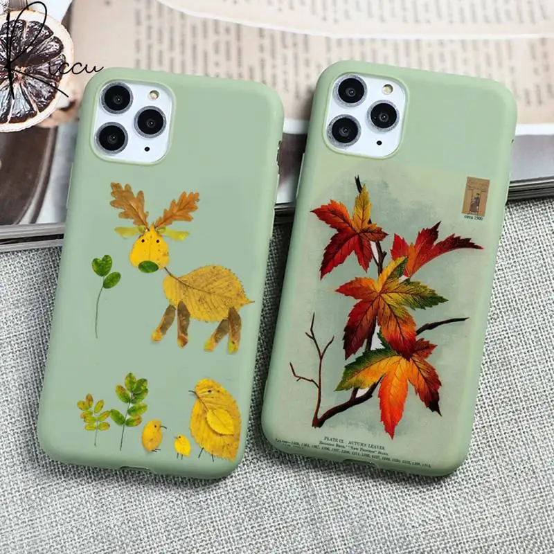 

The softness and art of tropical green leaves For iPhone 13 12 mini 11 Pro Max X XR XS 8 7 Plus Candy green Silicone Covers