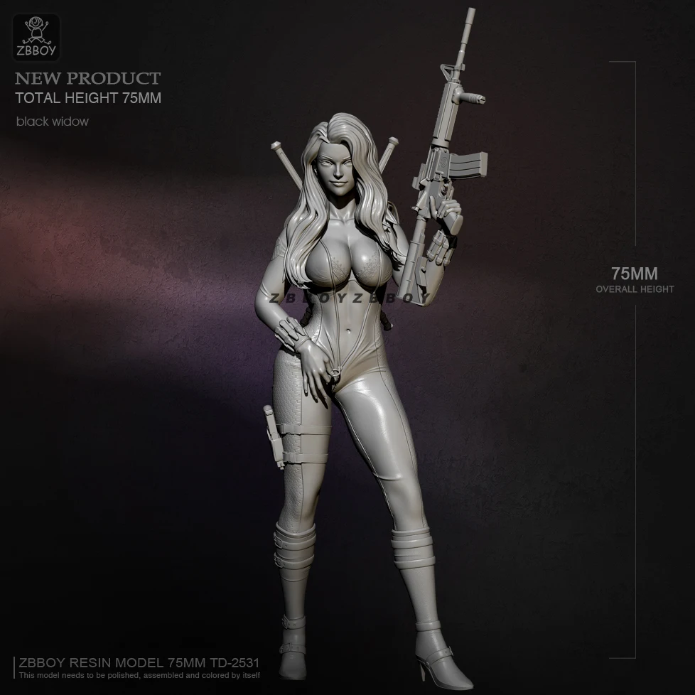 

H75mm 1/24 Смола Модель наборы рисунок красоты бесцветный и самодельный TD-2531