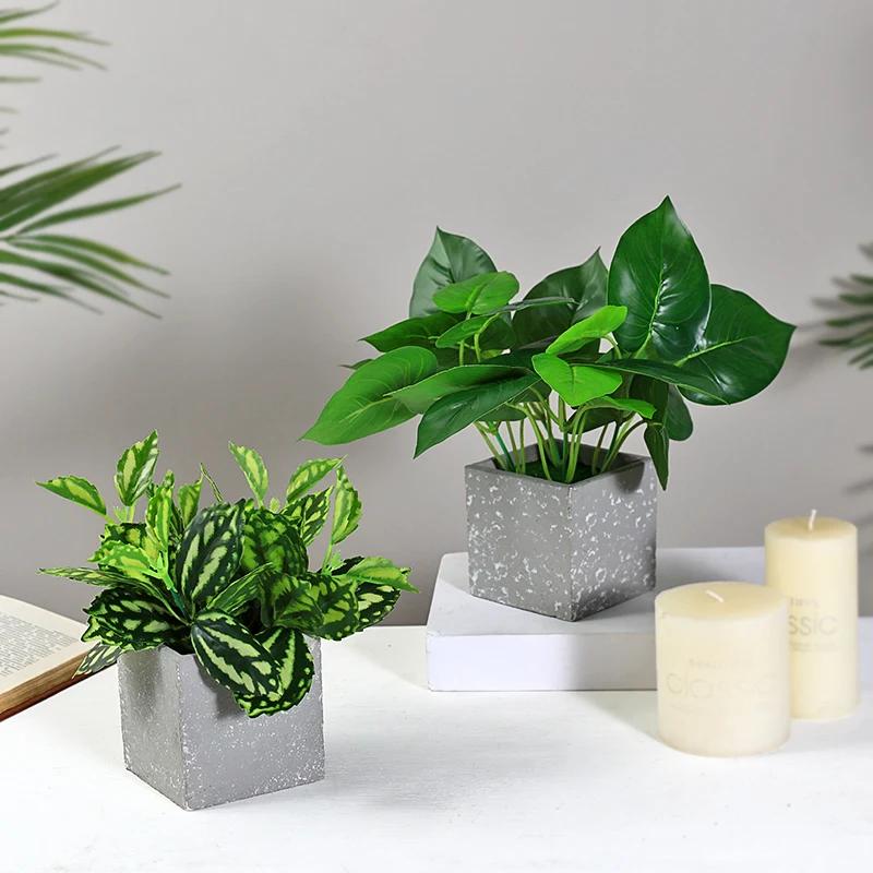 Ins Скандинавская креативная в виде черепахи лист зеленый укроп растение