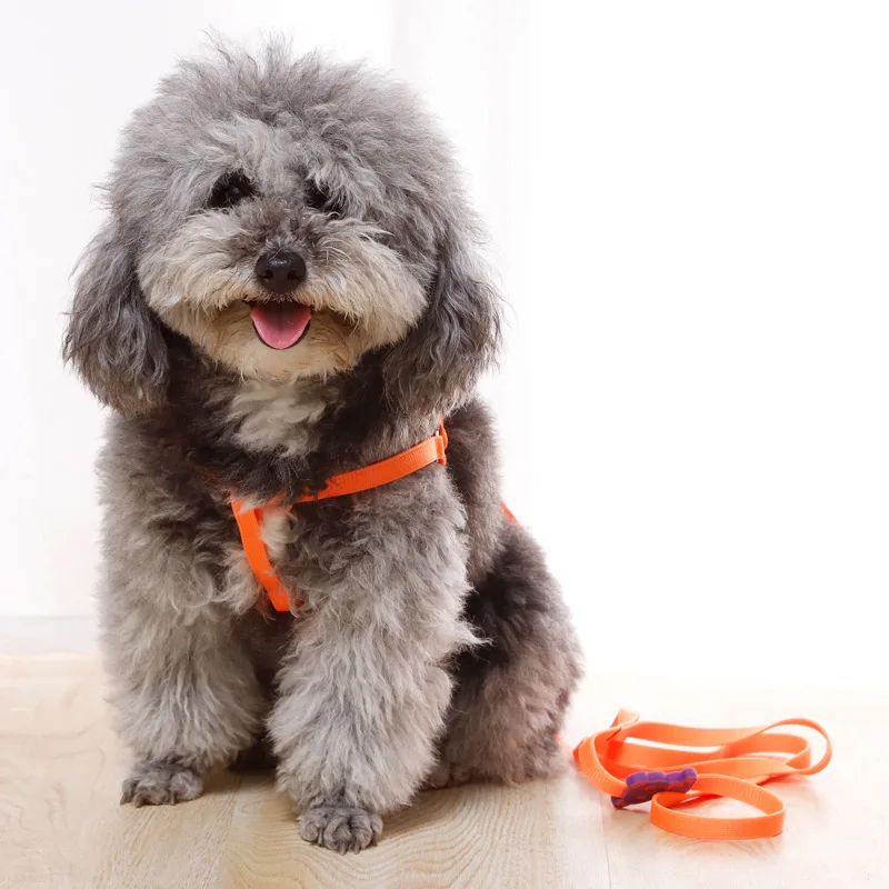 Товары для кошек маленький поводок собак Shih Tzu аксессуары бега веревка собаки