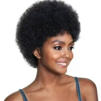 synthetic wigs for black women with afro kinky curly short cosplay wig for femal hair bob short hair wigs wwm00640