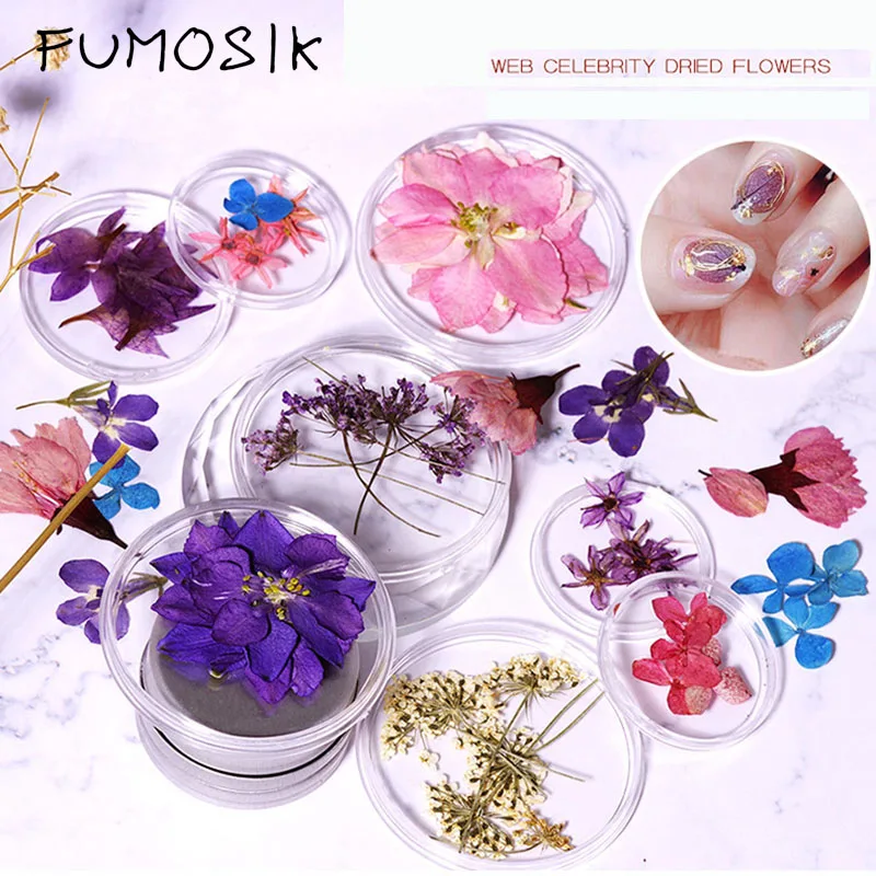 1 коробка цветов для нейл-арта 3D украшения ногтей сушеные цветы листья