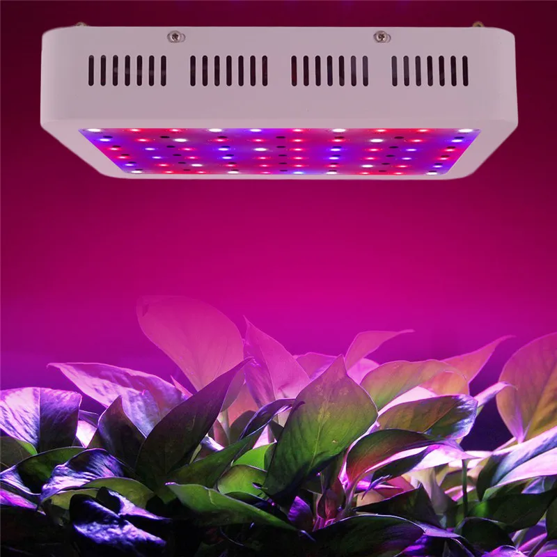 

300W LED Plants Grow Light Dual Chip Big Power led Panel Lamp Indoor Full Spectrum Flower Plant Vegs Hydroponic Growth Lighting