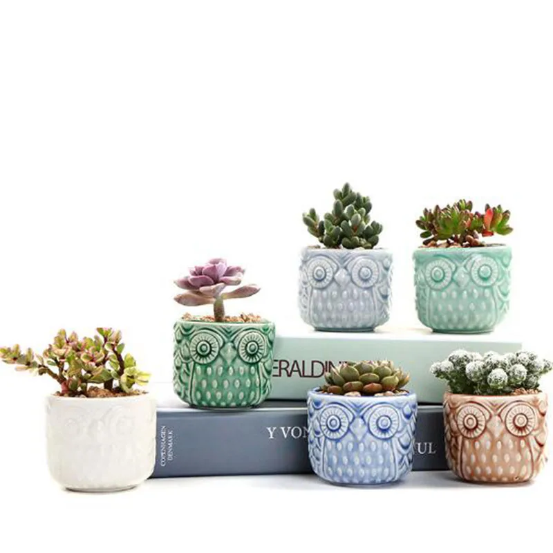 Керамический цветочный горшок для большого пальца сова суккулентный растений