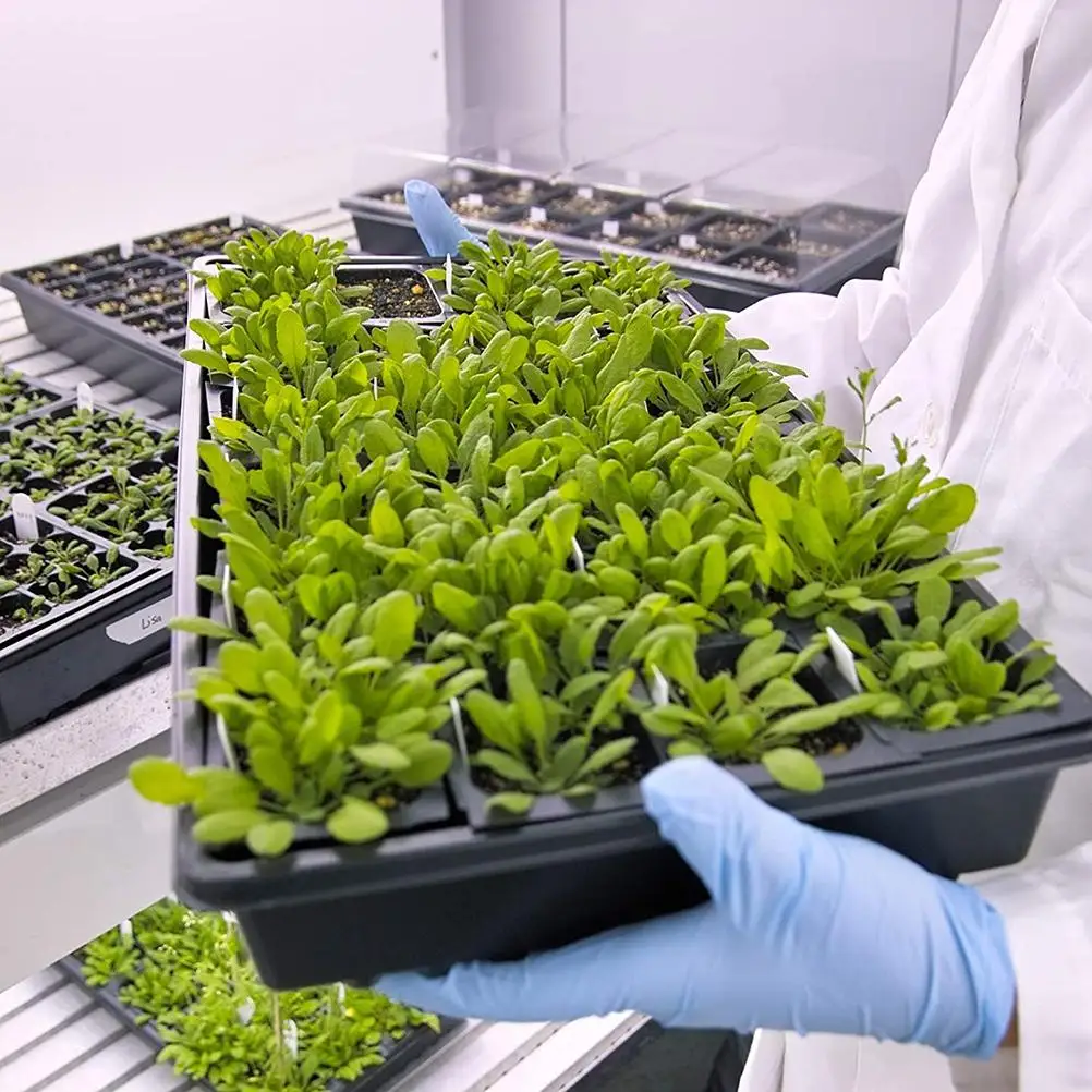 10 шт. ванны для выращивания растений рассада стартер лотки рассады крытый