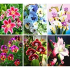 AZQSD алмазная вышивка цветок крестиком рукоделие алмазная мозаика картина стразами декор для дома