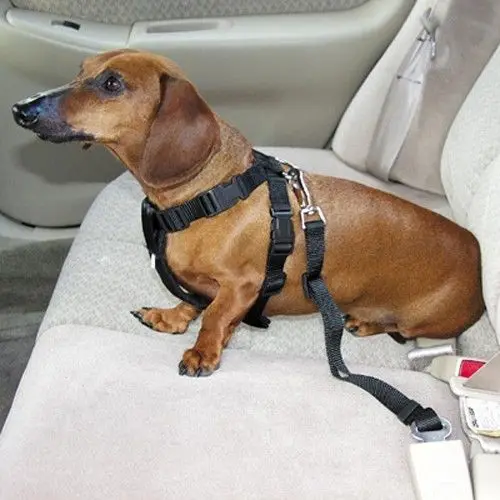 RED Car Vehicle Auto Seat Safety Belt Seatbelt Harness for Dog Pet Cat | Дом и сад