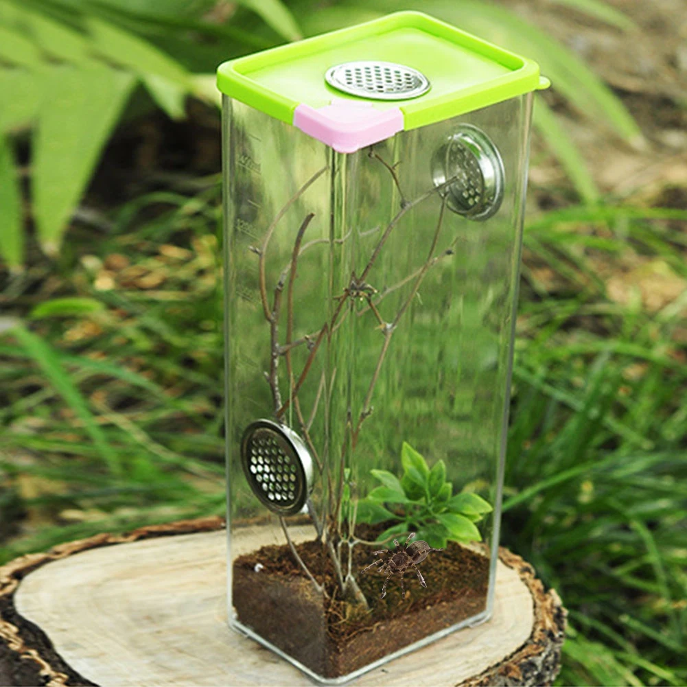 Для разведения рептилий Box прозрачный акриловый Террариум для питание от