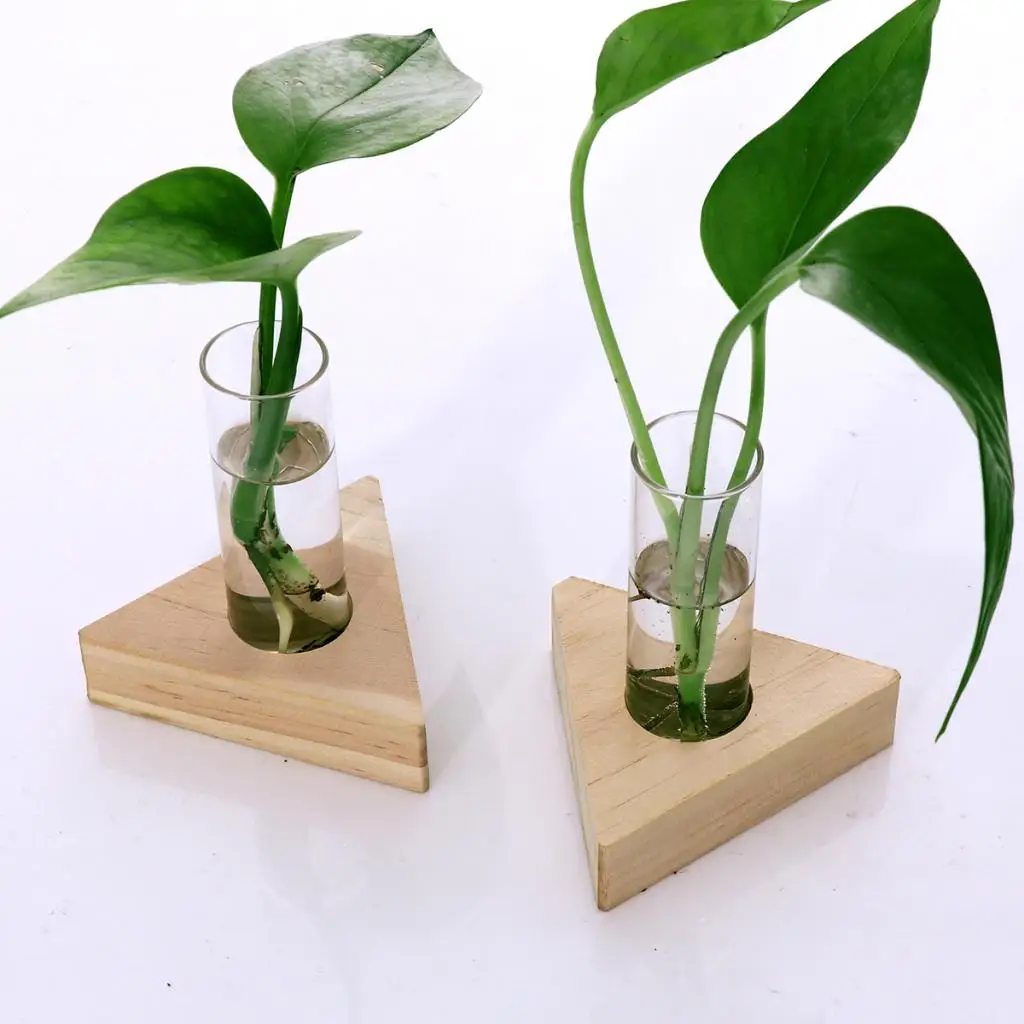 2 шт. тестовая трубка для плантатора ваза цветов столешницы стеклянные горшки в
