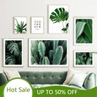 WTQ натуральный кактус с зелеными растениями, листьями монстеры, настенная Картина на холсте, постеры, принты, картины для декора комнаты в скандинавском стиле, украшение для дома