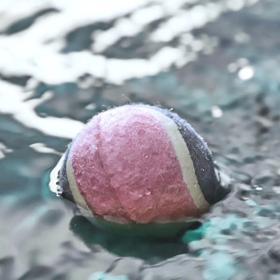 2019 новейшая теннисная игрушка для собак Xiao mi износостойкая здоровый материал Xio