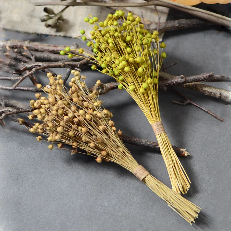 2 Bouquet 20g/35cm Natural Dried beads Eternal real plant for Wedding Party home Decoration accessories arrange flowers | Дом и сад