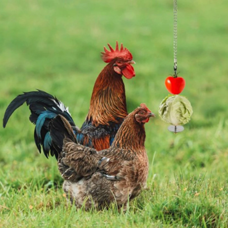 

Chicken Xylophone Toy with 8 Metal Keys + Chicken Veggies Skewer Fruit Holder with Grinding Stone + Chicken Mirror Toy with N1HF