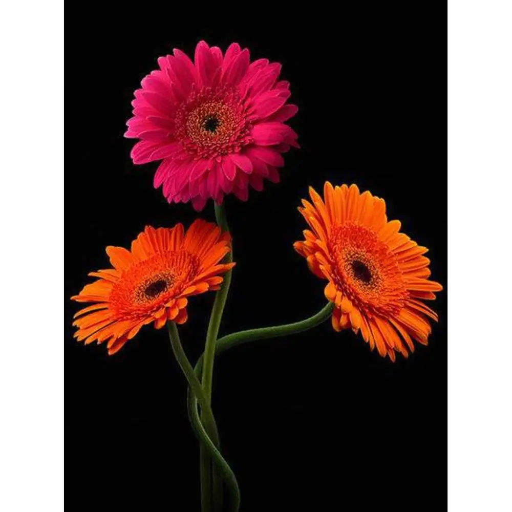 Алмазная мозаика круглая 5D сделай сам цветы в темноте 8 цветов наборы для вышивки