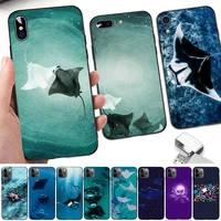 lvtlv animal manta ray phone case for iphone 11 12 13 mini pro xs max 8 7 6 6s plus x 5s se 2020 xr cover