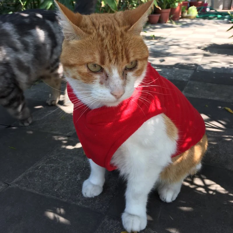 Сфинкс кошек жилетка поводок зимний пустой флисовые куртки для собак кольцо