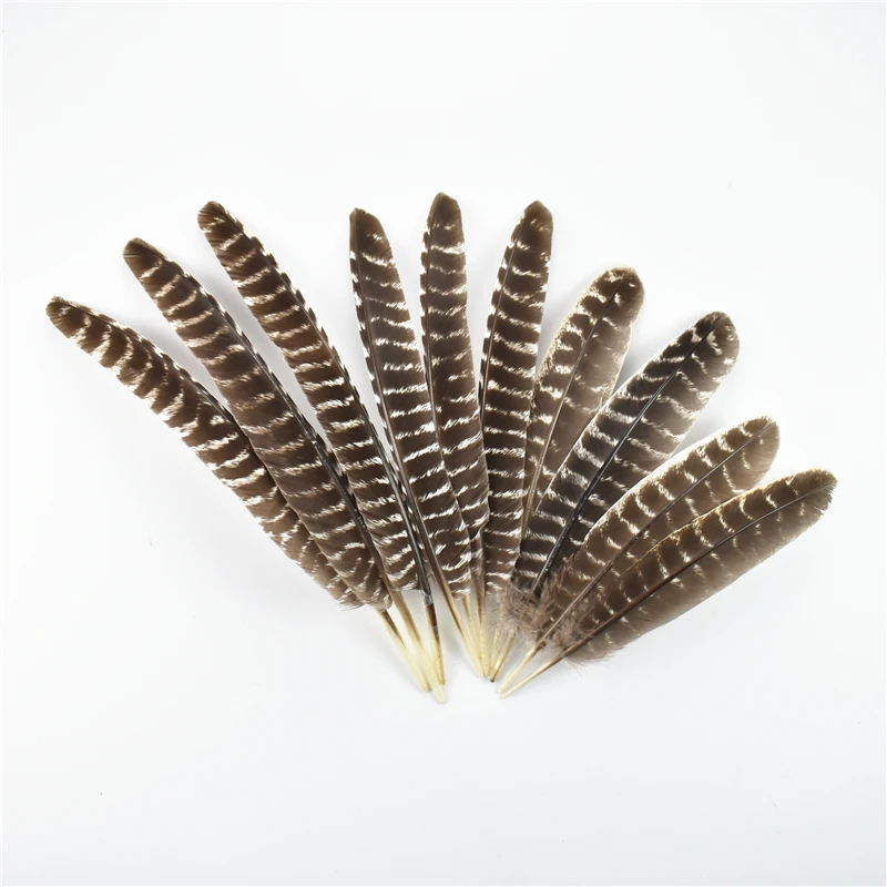 

Wholesale 20-40cm/8-16inch Real Natural Eagle Feathers Trim Turky Plumes for Crafts Holiday Decorations Handicraft Accessories
