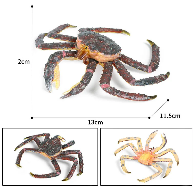 Новая модель искусственных животных глубоководного морского поглощения угря