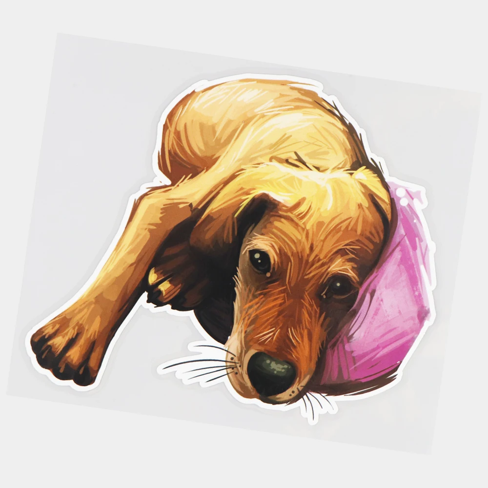 

JuYouHui Exterior Accessories Decal Italian Pet Dog Cartoon Scratch Cover Car Sticker Body Decoration
