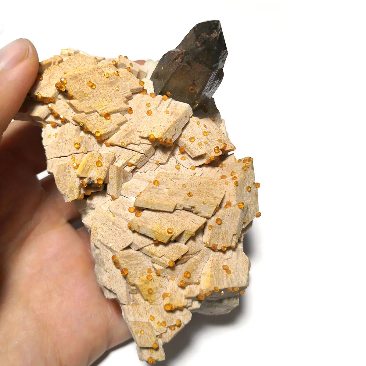 

316g B5-2b Rare Natural High Quality Spessartine Smoky Quartz Feldspar Garnet From Yunxiao Fujian Province China