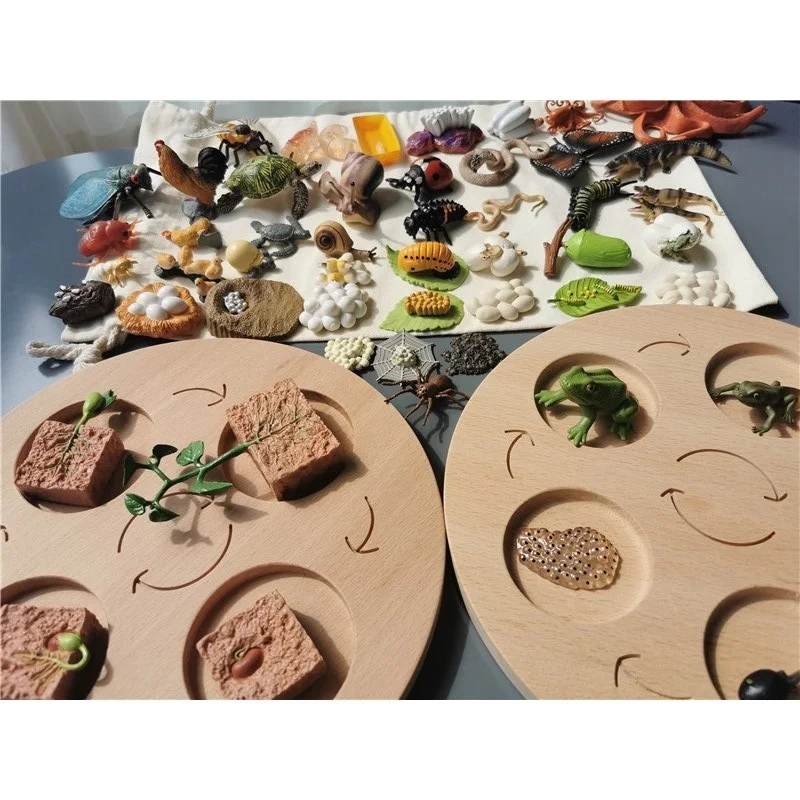 Детская деревянная игрушка Монтессори из бука доска для вычитывания жизненного